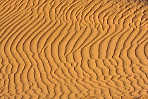 Ripple patterns in sand dunes in Erg Lihoudi desert, MHamid, Morocco December 2007