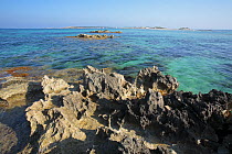 Pitted rocks in the Marine Reserve Freus dEivissa i Formentera. Formentera, Balearic Islands