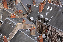 Rooftops and tudor houses in Blois, Loire Valley, France