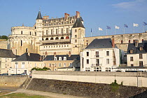Castle of Amboise and surrounding houses in the Loire Valley, France