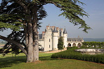 Castle of Amboise viewed from its garden in the Loire Valley, France