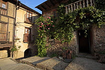 Courtyard in Tirvia with flowers growing around the doorway. Pyrenees mountains, Catalonia, Lerida, Spain