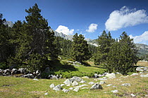 Madriu Valley Natural Park in the Pyrenees mountains, Andorra