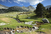 Stream flowing through Madriu Valley Natural Park in the Pyrenees mountains, Andorra