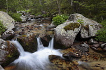 Small waterfall on the Madriu River. Madriu Valley Natural Park, Andorra
