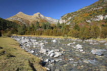 River flowing through the Bujaruelo Valley in Ordesa y Monte Perdido National Park. The Pyrenees, Huesca, Spain