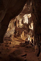 Stalactites at the entrance to the Cave of Urdax, Navarra, Spain