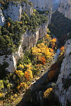 Looking down into the gorge of Arbayun, Navarra, Spain