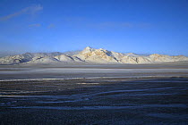 Looking accross a vast plain towards snow-covered peaks in Tibet's Chang Tang Nature Reserve. As the second largest Nature Reserve on earth, it is China's greatest natural asset. December 2006