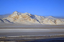 Looking accross a vast plain towards snow-covered peaks in Tibet's Chang Tang Nature Reserve at dawn. As the second largest Nature Reserve on earth, it is China's greatest natural asset. December 2006
