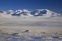 Looking accross a plain towards snow-covered peaks in Tibet's Chang Tang Nature Reserve. As the second largest Nature Reserve on earth, it is China's greatest natural asset. December 2006