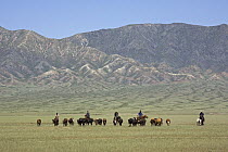 Kazakh nomads with cattle in Xinjiang Province, China. June 2006