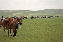 Mongolian horses and jockies preparing for the annual Nadam horse race, Inner Mongolia. June 2006