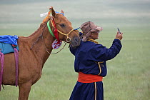Mongolian man checking his mobile phone at the annual Nadam Festival, Inner Mongolia. June 2006