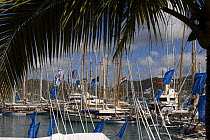 Antigua Classic Yacht Regatta, April 2008.
