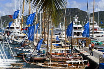 Antigua Classic Yacht Regatta, April 2008.