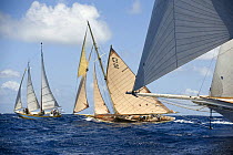 "Ushuaia", Morgan MacDonald's Pilot Boat Gaff Schooner, with "Kate", Phillip Walwyn's Mylne Gaff Cutter, and the bow sprit of "Adela" during Antigua Classic Yacht Regatta, Race 2, April 19, 2008.