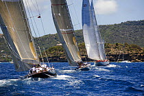 "Adela" leads the J's of "Ranger" and "Velsheda" approaching the mark during Antigua Classic Yacht Regatta 2008, Race 3, April 20.