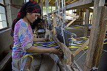 Woman silk weaving with natural dyes on a wooden loom at Hotan (Hetian), a town along the ancient Silk Road. Xinjiang Province, North-west China. July 2006