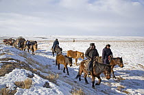 A Kazakh family following ancient migration routes, bringing their possessions and livestock down from the Altai mountains of Xinjiang Province, north-west China. February 2007