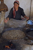 Woman extracting raw silk fibres from silk-moth cocoons by boiling them, a traditional method for silk-making. Hotan City on the old Silk Road south of the Taklamakan Desert, Xinjiang Province, north-...