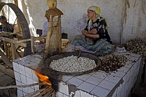 Women extracting raw silk fibres from silk-moth cocoons by boiling them, a traditional method for silk-making. Hotan City on the old Silk Road south of the Taklamakan Desert, Xinjiang Province, north-...