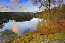 Reflections of clouds and autumn colour, Glen Affric, Highland,, UKScotland