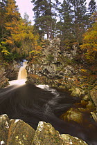 Falls of Bruar, nr Pitlochry, Perthshire, Scotland, UK