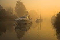 Boats in the mist at dawn, River Frome, Wareham, Dorset, UK