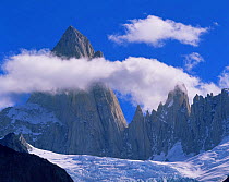 Clouds forming aroung the jagged summit of Mount Fitz Roy (Chalten) over Piedras Blancas glacier, in Glaciers National Park, Argentina