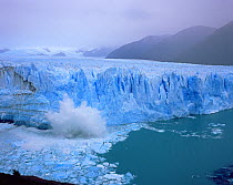Moreno Glacier calving iceberg in Glaciers National Park, Argentina