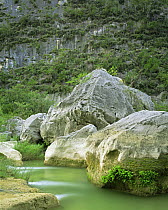 Stream flowing through limestone boulders beneath the shear, Bromeliad covered walls of Servilletta Canyon in Tamaulipas, Mexico