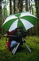 Gavin Thurston, cameraman, filming in Olympic NP, Washington, USA, June 1993