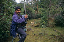 Photographer EA Kuttapan filming Tigers from a specially adapted tripod, Bandhavgarh NP, India