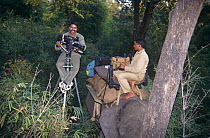 Photographer EA Kuttapan filming Tigers from a specially adapted high tripod / stool, Elephant also being used for filming, Bandhavgarh NP, India