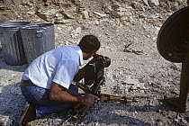 Kevin Flay, cameraman, filming Rattlesnakes fighting, Dallas, Texas, USA, April 1989