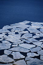 Aerial view of sea ice floe breaking up in summer, Admiralty Inlet, Canadian High Arctic, June 2000