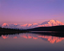 Mount McKinley (right) and Mount Brooks (left) reflected in Wonder Lake at sunset,  Denali National Park, Alaska