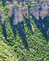 The cliffs at Swamp Point casting shadows accross vegetation in Grand Canyon National Park, Arizona