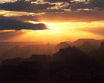 Looking west from Navajo Point at sunset, with Wooton's Throne, Angel's Gate, Isis, Shiva and Zoroaster Temples silhouetted against the light. Grand Canyon National Park, Arizona