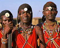 Masai warriors wearing traditional dress. Masai Mara National Reserve, Kenya