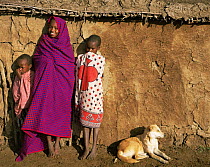 Masai children and their dog outside their house, which is coated with cattle dung. Masai Mara National Reserve, Kenya