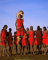 Masai warriors in full ceremonial dress, doing their famed high leaps. Masai Mara National Reserve, Kenya