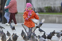 Young girl chasing pigeons (Columba livia) in Trafalgar Square, London, UK