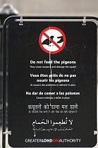 "Do not feed the Pigeons" sign in Trafalgar Square, London, UK