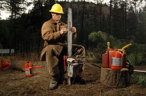 Logger checking his saw in a pine forest, Washington State, USA