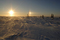 Blizzard on the ice pack of Manitoba with panhelion sun effects (sun dog) on the horizon. Northern Canada