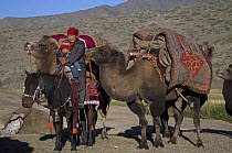 Nomadic Kazakh family moving from summer to winter pastures in the Altai Shan Mountains, near the Mongolian border in Xinjiang Province, North-west China. September 2006