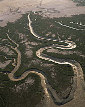 Aerial view of the Upper Gulf and Colorado Delta Biosphere Preserve, El Golfo, Baja California, Mexico