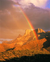 Rainbow over Table Mountain and the Pusch Ridge Wilderness in the Santa Catalina Mountains, Arizona